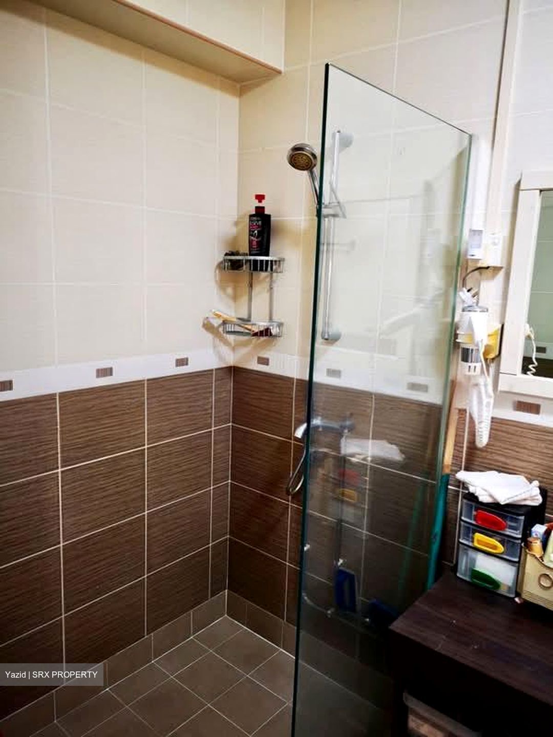 Blk 245 Pasir Ris Street 21 (Pasir Ris), HDB Executive #548328971